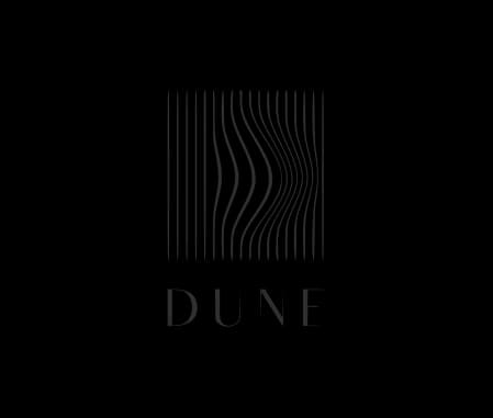 Партнер Dune направления Paler Agency