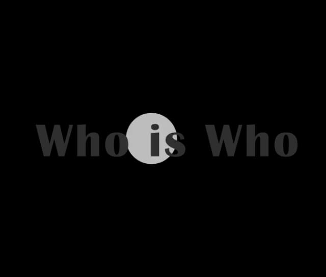 Партнер Who is Who направления Paler Agency
